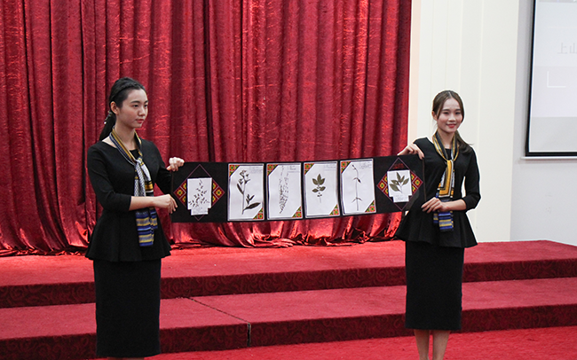 122cc太阳集成游戏