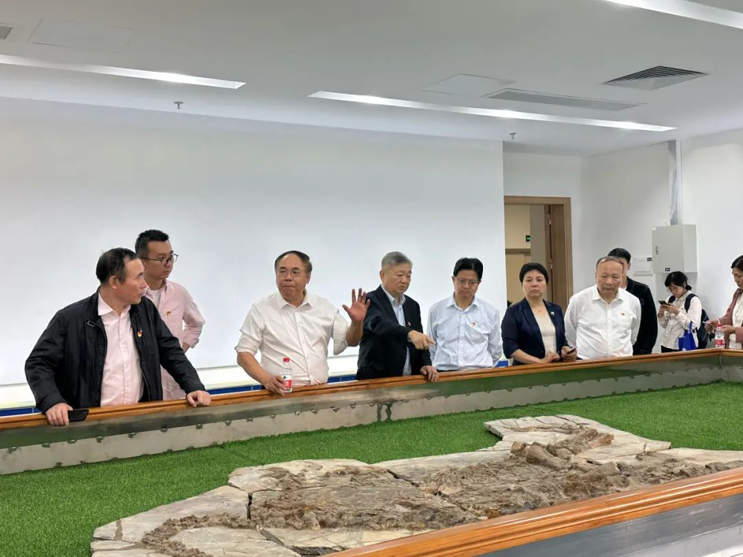 122cc太阳集成游戏