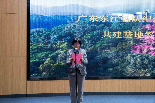 122cc太阳集成游戏