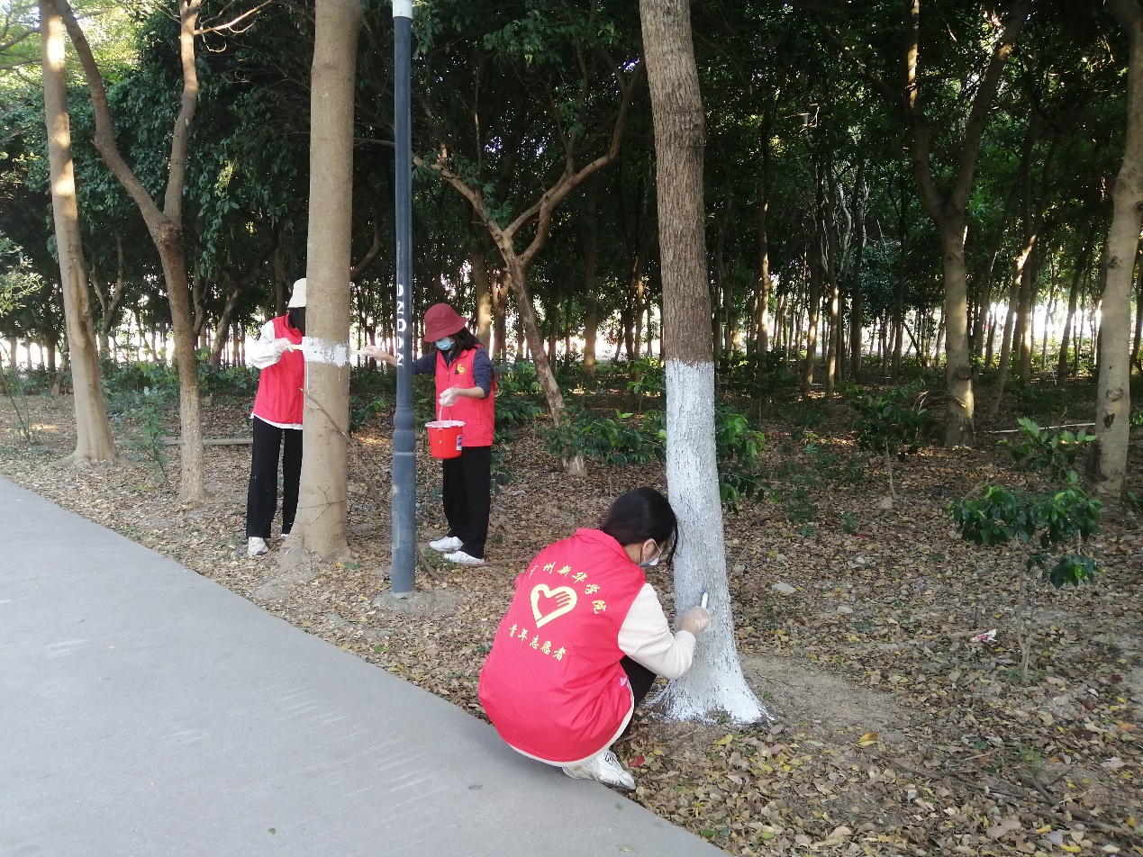 122cc太阳集成游戏