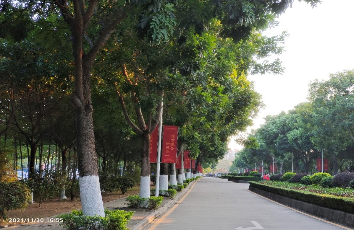 122cc太阳集成游戏