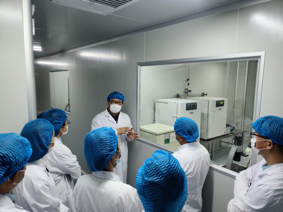 122cc太阳集成游戏