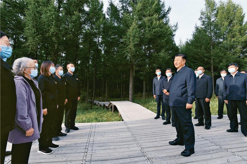 122cc太阳集成游戏