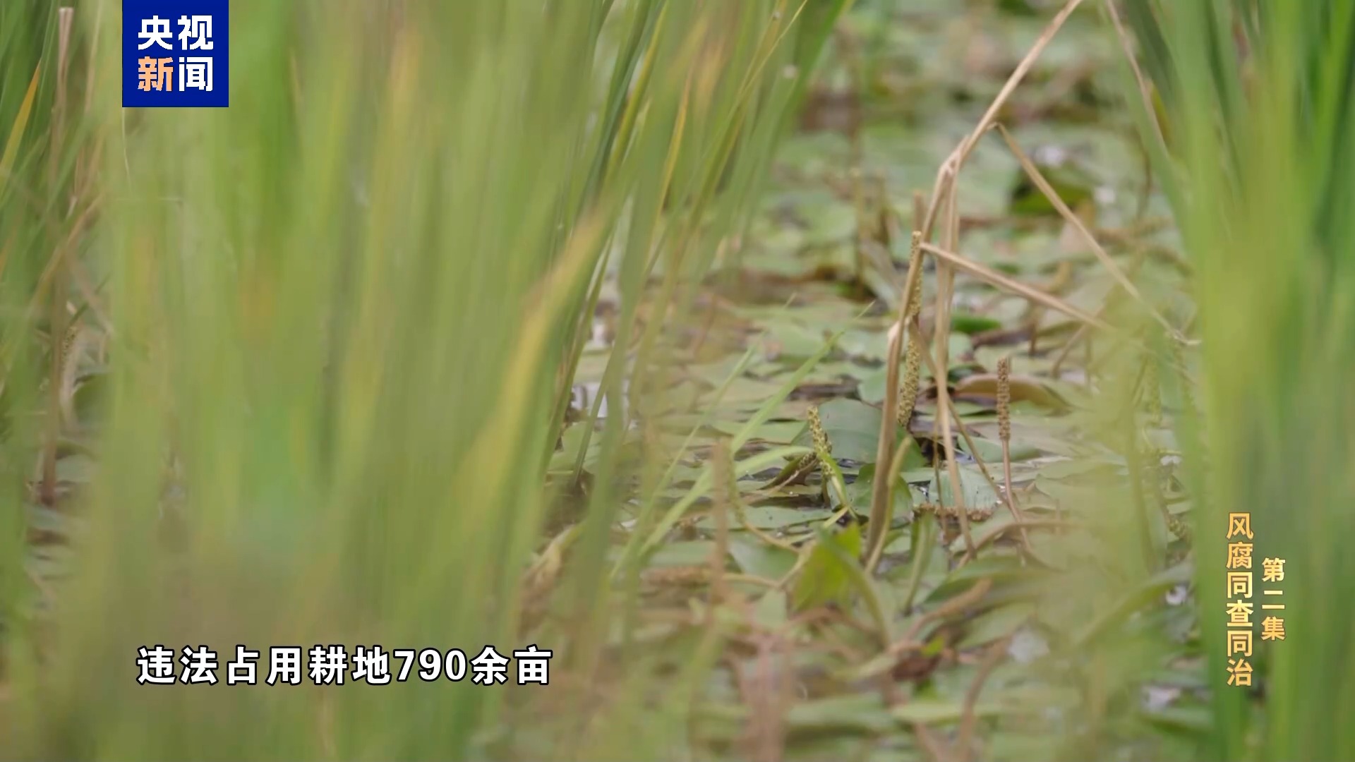 122cc太阳集成游戏