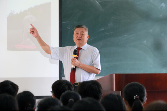 122cc太阳集成游戏