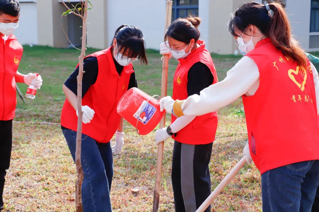 122cc太阳集成游戏