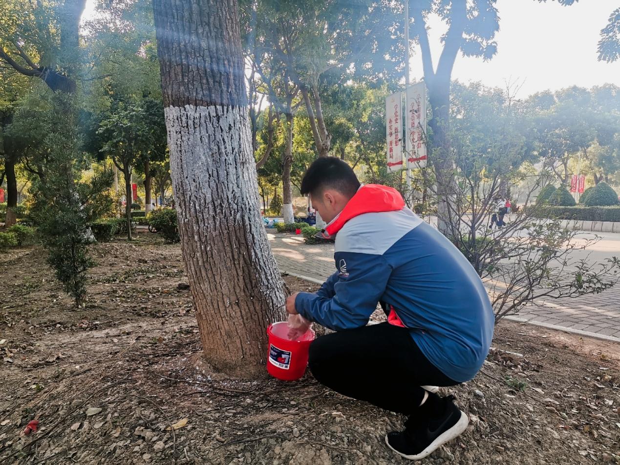 122cc太阳集成游戏