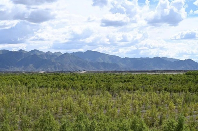 122cc太阳集成游戏