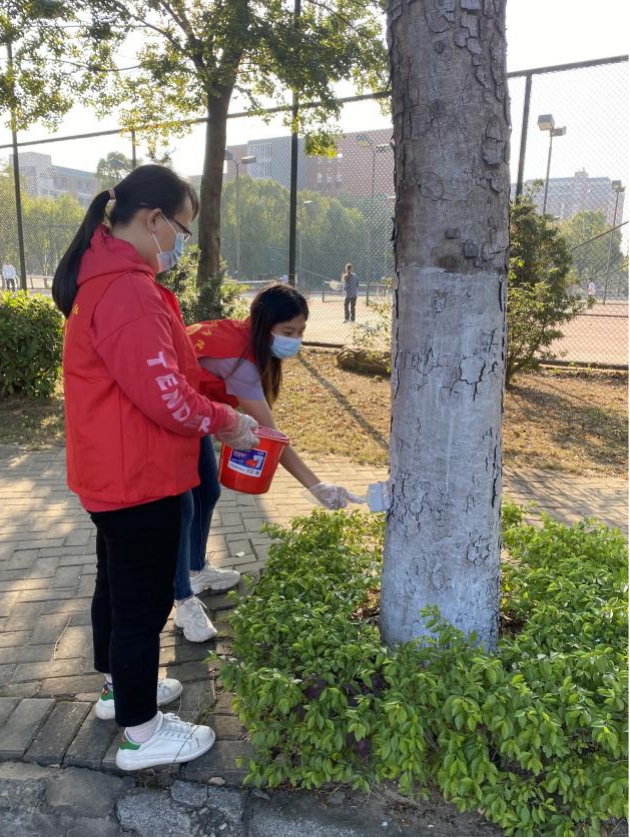 122cc太阳集成游戏