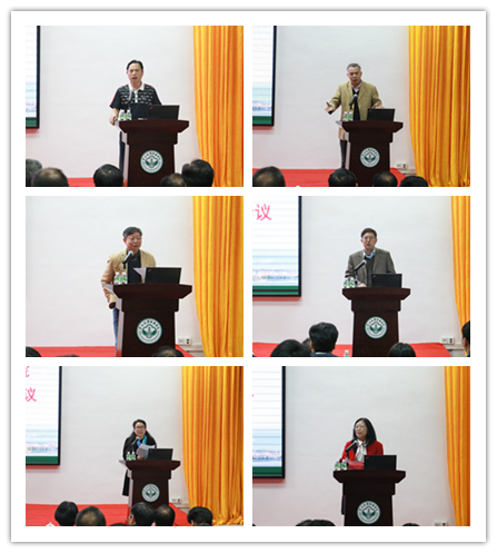 122cc太阳集成游戏