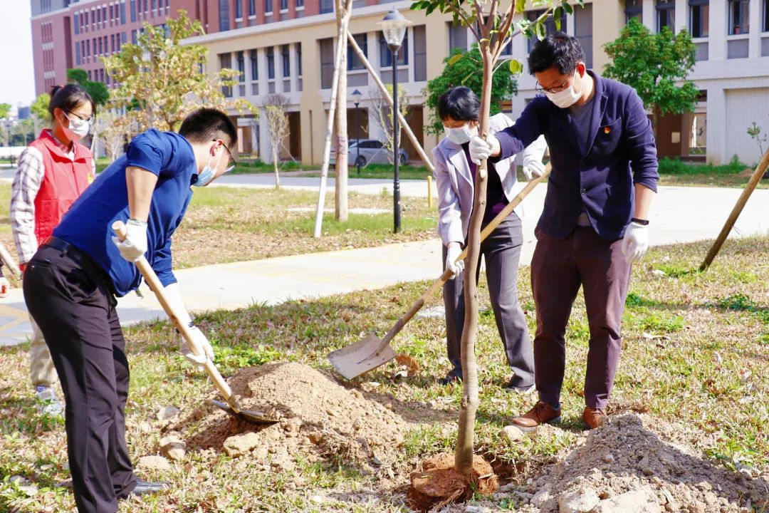 122cc太阳集成游戏