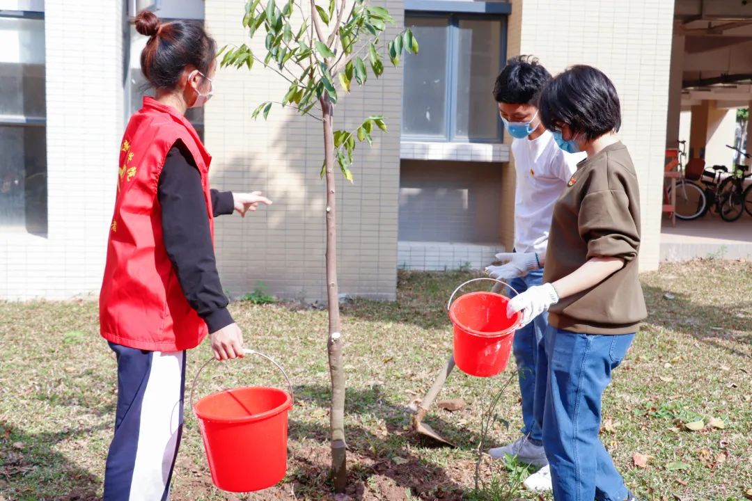 122cc太阳集成游戏