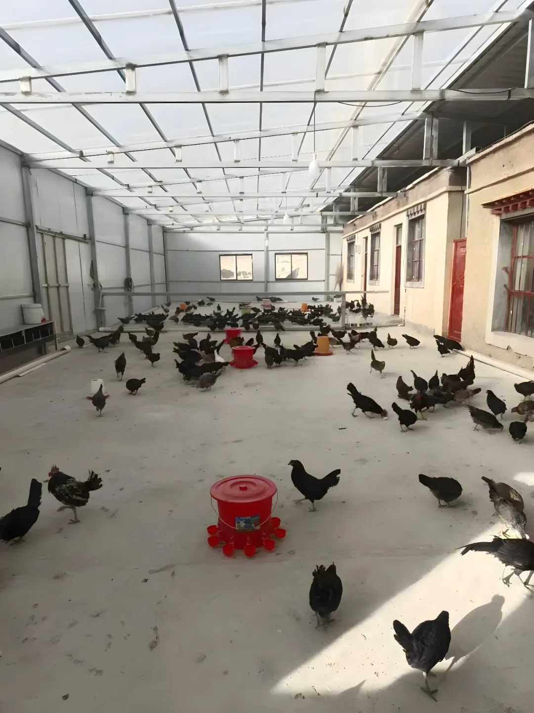 122cc太阳集成游戏