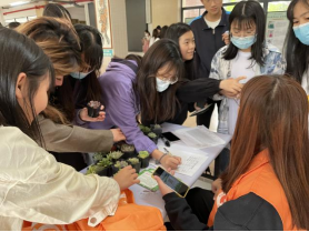 122cc太阳集成游戏