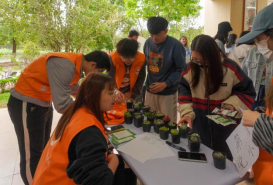 122cc太阳集成游戏