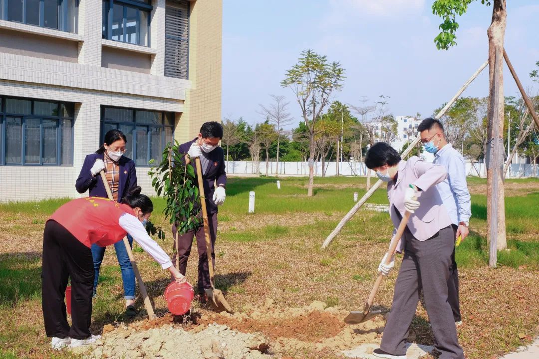 122cc太阳集成游戏