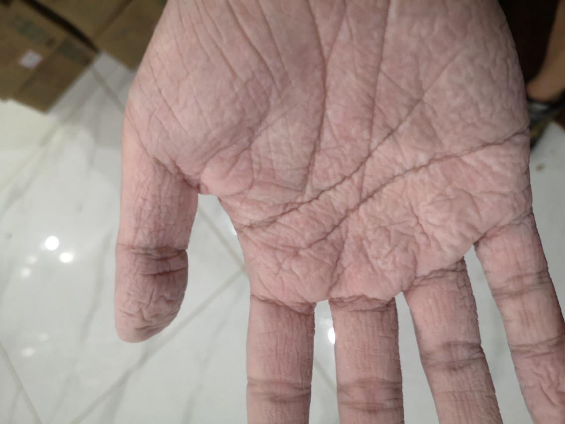 122cc太阳集成游戏