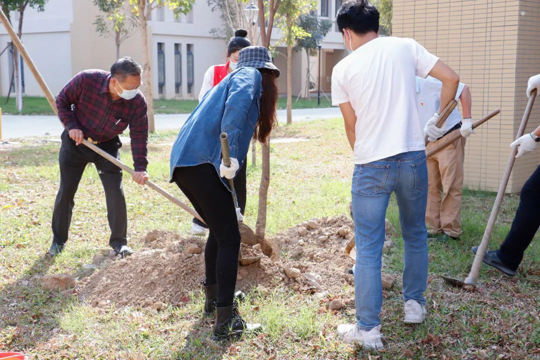 122cc太阳集成游戏
