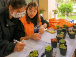 122cc太阳集成游戏