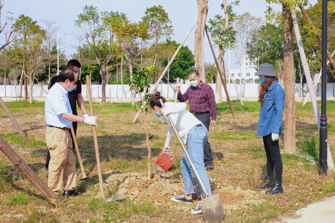 122cc太阳集成游戏