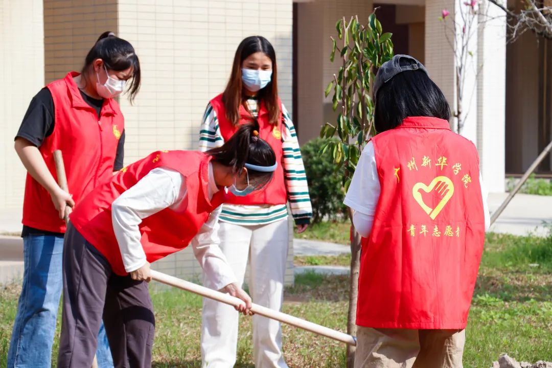 122cc太阳集成游戏