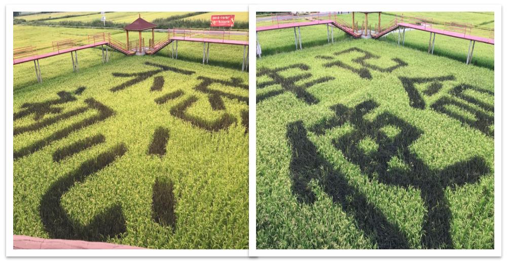 122cc太阳集成游戏